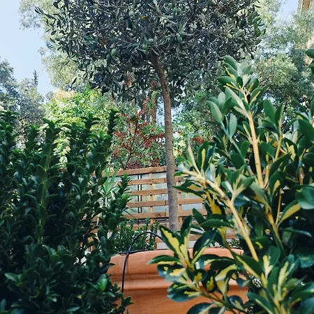 Olive Whisper Garden And Sauna * Roma