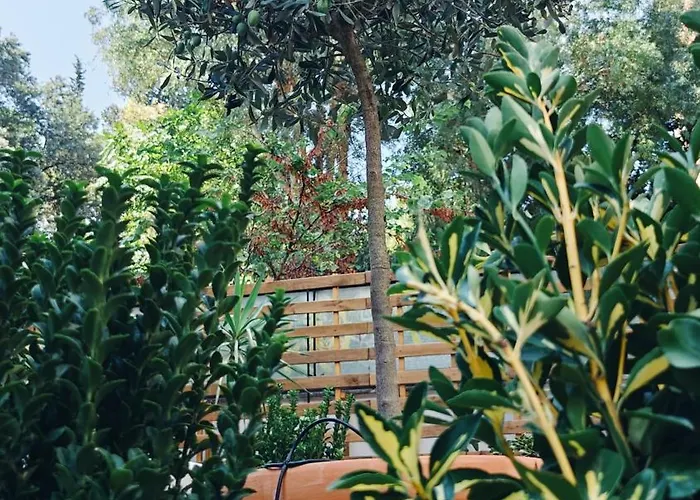 Olive Whisper Garden And Sauna * Rzym